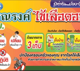 โครงการรณรงค์ป้องกันและควบคุมโรคไข้เลือดออก