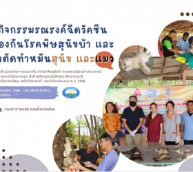 กิจกรรมรณรงค์ฉีดวัคซีนป้องกันโรคพิษสุนัขบ้า และผ่าตัดทำหมันสุนัข และแมว